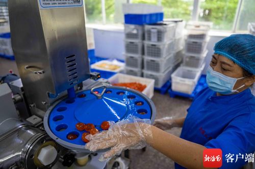 原創(chuàng)組圖丨中秋將至 海口這個食品廠開足馬力生產月餅