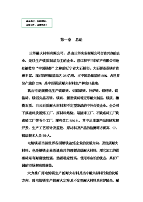 (終稿)電熔鎂生產(chǎn)線新建項(xiàng)目備案立項(xiàng)報(bào)告.doc(OK版)