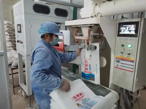 糧倉(cāng)滿滿的 這圖看著心里真踏實(shí)